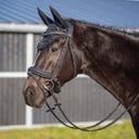 QHP Brida Glitter, Negro