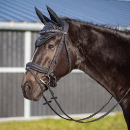 QHP Brida Glitter, Negro