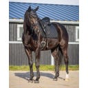 QHP Orejeras Antimoscas Glitter, Negro, Full