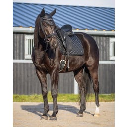 QHP Orejeras Antimoscas Glitter, Negro, Full