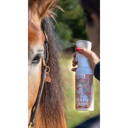Lilla Livet Natural Mane Magic Mähnenspray - 500 ml