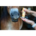 Lilla Livet Honey Golden Guard Maulpflege - 100 ml