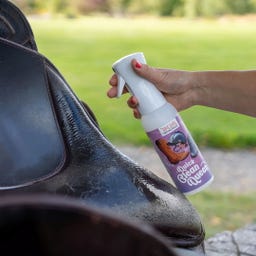 Lilla Livet Quick Clean Queen - 500 ml