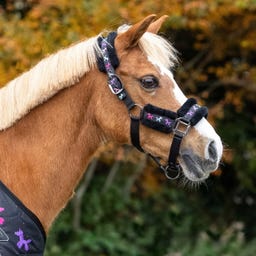 QHP Komplet oglavke Isalyn, Unicorn Dream