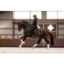 Roeckl WELS Riding Gloves, Black Stonewashed