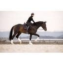 Roeckl JARDY 2 Riding Gloves, Black