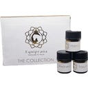 Equiprana Minikolekcja - 20 ml
