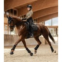 Waldhausen Sottosella Phoenix, Nero