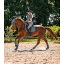 Pantaloni da Equitazione Comfort Ride Glam, Grigio Cromo