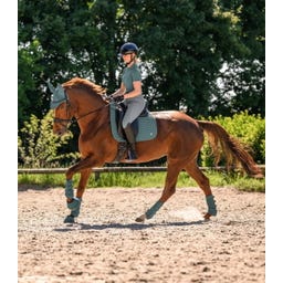 Pantaloni da Equitazione Comfort Ride Glam, Grigio Cromo