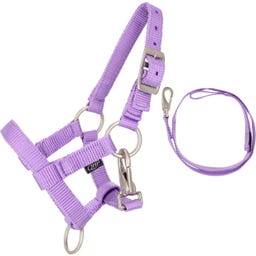 Brands of Q Grimset Hobby Horse - Lila