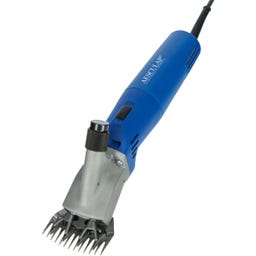 Schermaschine Econom Nova für Schafe 230V - 1 Stk