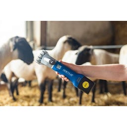 Aesculap Schafschermaschine Econom Nova CL 1 Akku - 1 Stk