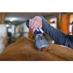 Aesculap Akkuschermaschine Bonum Pro blau Rind - 1 Akku