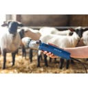 Schermaschine Econom Nova für Schafe 230V - 1 Stk