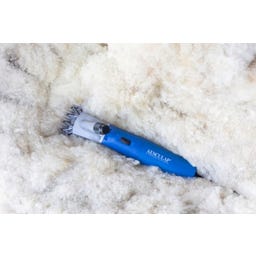 Schermaschine Econom Nova für Schafe 230V - 1 Stk