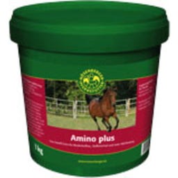Amino