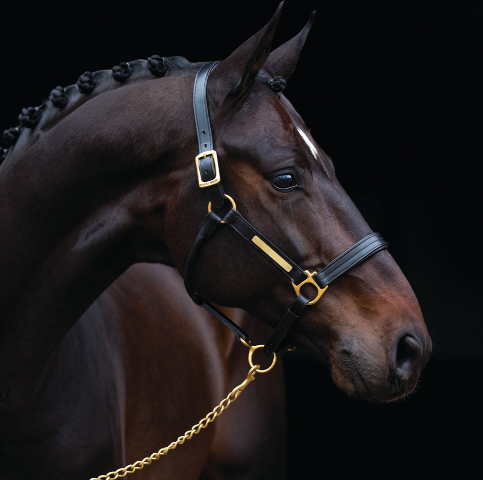 Horseware Ireland Кожен юлар Amigo