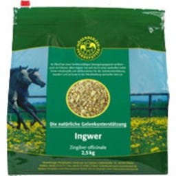 Ingwer