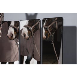 ESKADRON Kantar Softshell DP – szarobrązowy