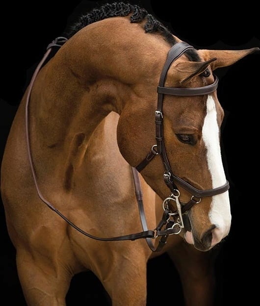 Rambo Micklem Original Competition Bridle - Dark Havana