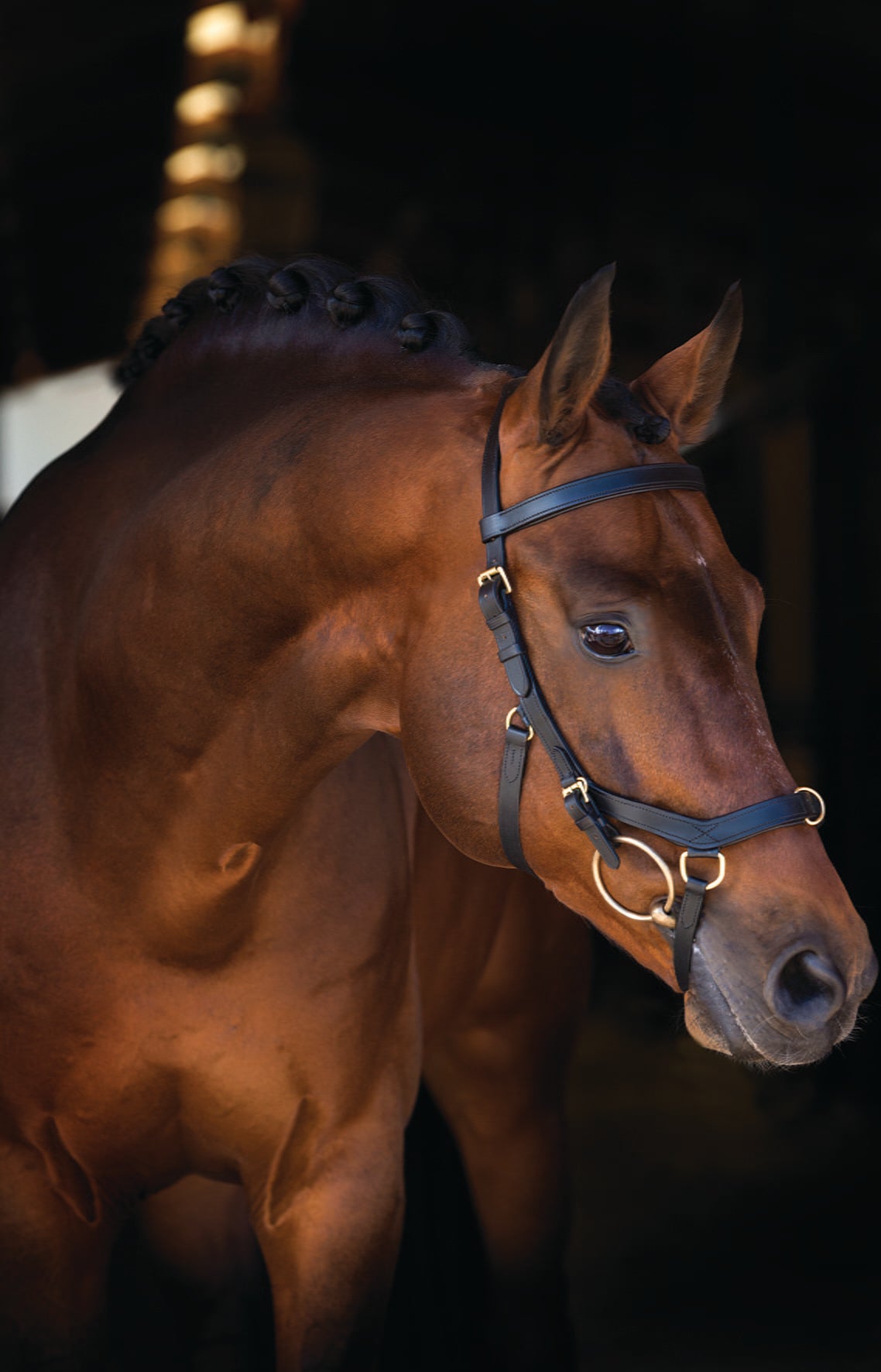 Horseware Ireland Rambo Micklem Multibridle - 