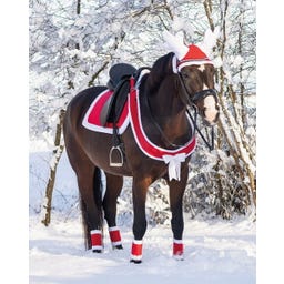 QHP Brustriemen Weihnachten, Rot