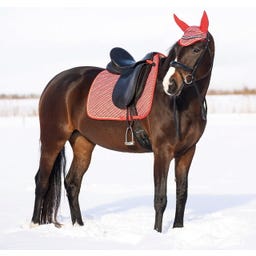 QHP Schabracke Weihnachten Jolly Stripe
