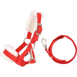 QHP Halfter-Set Weihnachten Hobby Horse, Rot