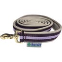 Dublin Padded Lead Rein, 2 Mètres, Blackberry