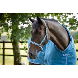 Bucas Halfter Dublin Blueberry - COB