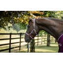 Bucas Foal Halter Dublin - Blackberry