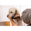 WAHL Professional Arco Pro Mașină de tuns - 1 baterie de rezervă