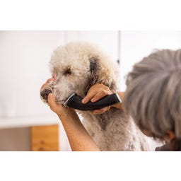 WAHL Professional Arco Pro Mașină de tuns - 1 baterie de rezervă