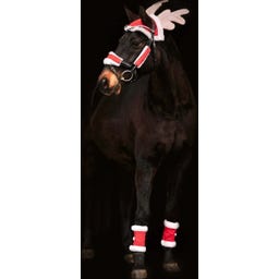 Waldhausen Weihnachts-Set für Pferde - 1 Set