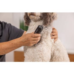 WAHL Professional Tondeuse Arco Pro - 1 pile de rechange