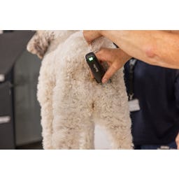 WAHL Professional Tondeuse Arco Pro - 1 pile de rechange