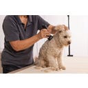 WAHL Professional Tondeuse Arco Pro - 1 pile de rechange