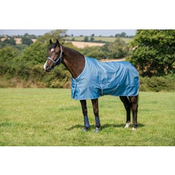 Bucas Freedom Turnout 50g Blueberry - 145 cm
