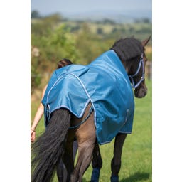 Bucas Freedom Turnout 50g Blueberry - 145 cm