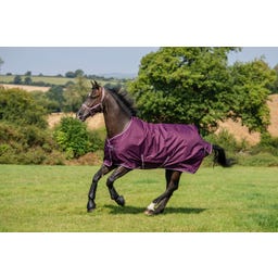Bucas Freedom Turnout 300 Blackberry