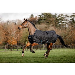 Bucas Anniversary Turnout Light Stay-Dry - 135 cm