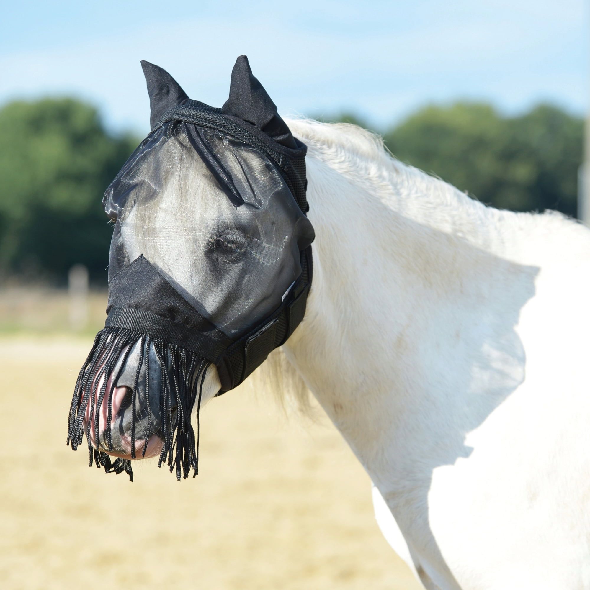 BUSSE FLY COVER FRINGE Fly Mask, Black - EquusVitalis Onlineshop