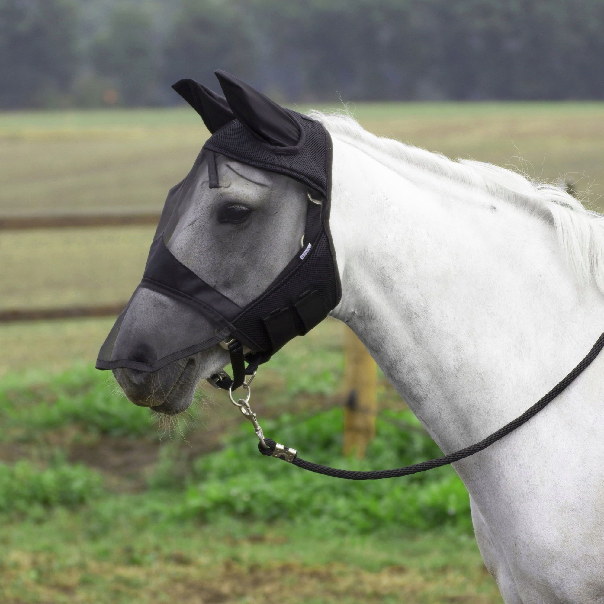 BUSSE FLY COVER PRO Fly Mask, Black - EquusVitalis Onlineshop