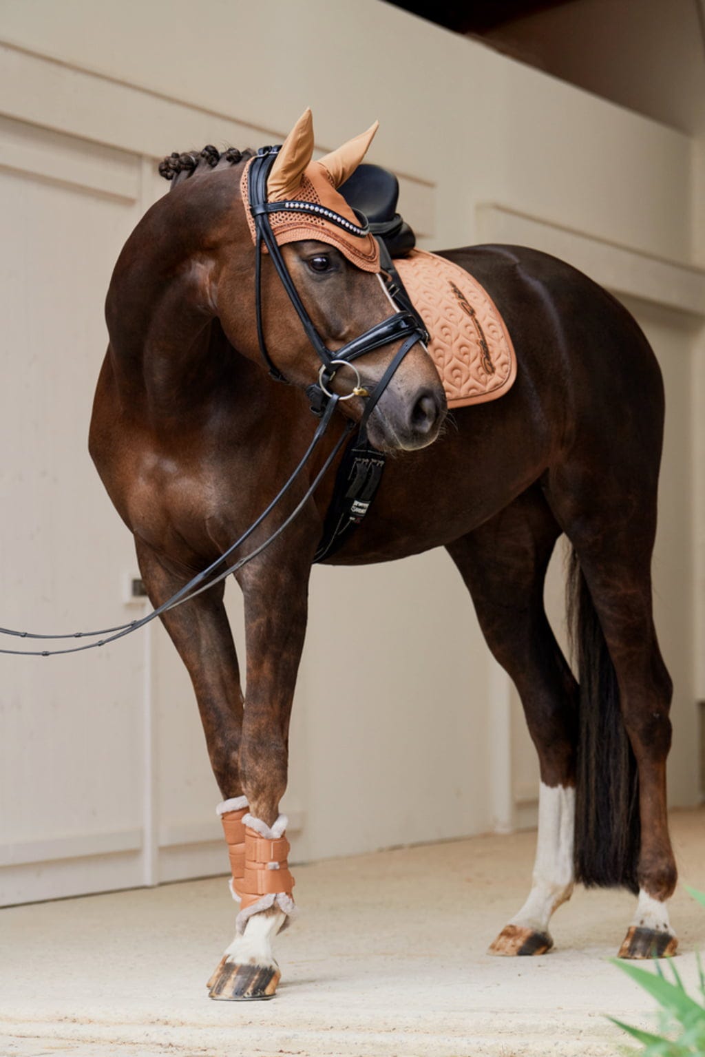 2 Coussinets De Selle De Saut Lemieux - Taille Poney - Coton - Occasion