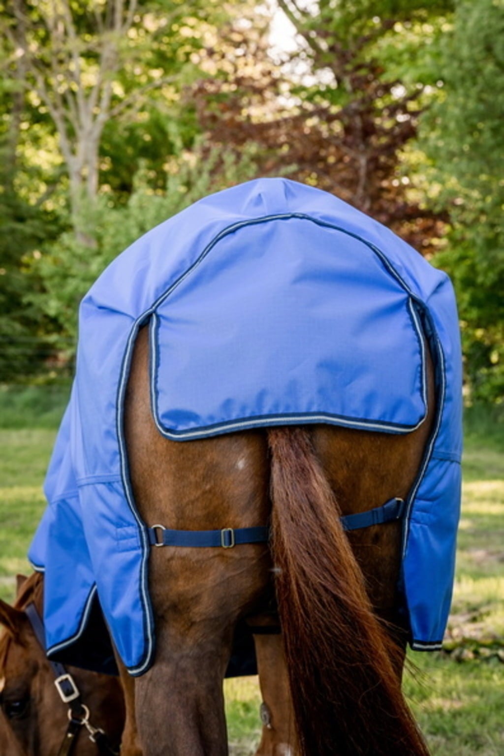 Coperta Isotermica Per Cavallo Turners Heavyweight | 350g Imbottitura, 600D Ripstop, Collo Fisso, Rosso, Taglia 5'0'' A 7'0''