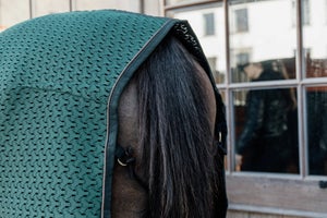 Couverture Séchante Pour Cheval - Taille 135 Cm, Polyester, Cordon De Queue - Couleur Vert Sapin Et Pierre, Lavable 30°C