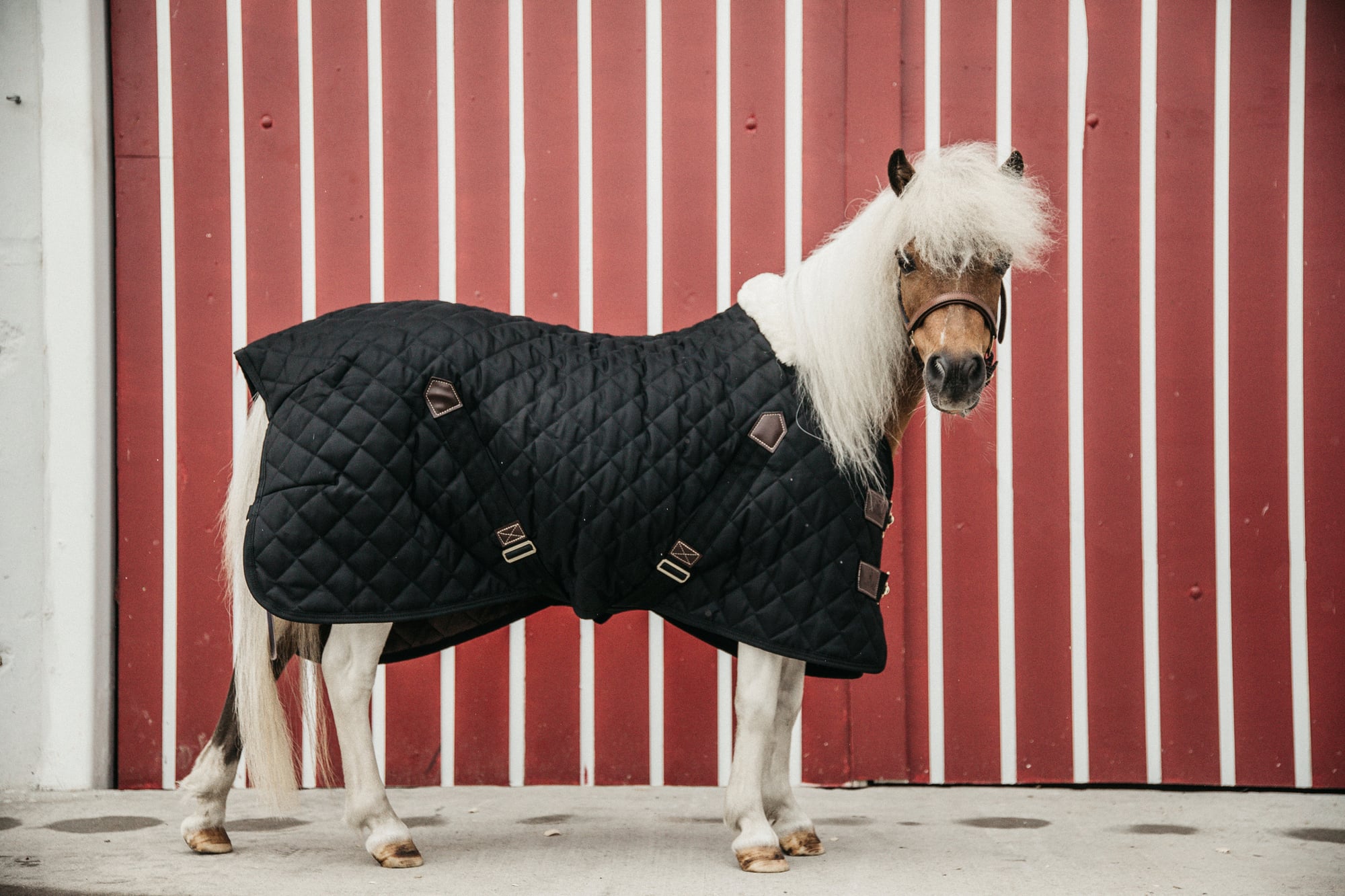 Kentucky Horsewear Pony Stable Blanket - 400g - EquusVitalis
