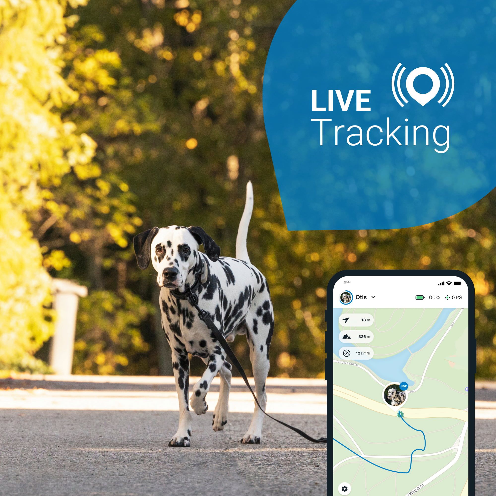 Tractive GPS Dog Tracker - EquusVitalis Onlineshop